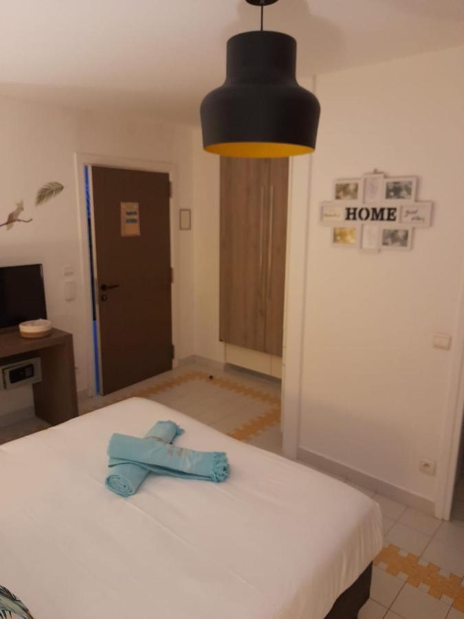 Studio Kaz Ananas Au Manganao 圣弗朗索瓦 外观 照片